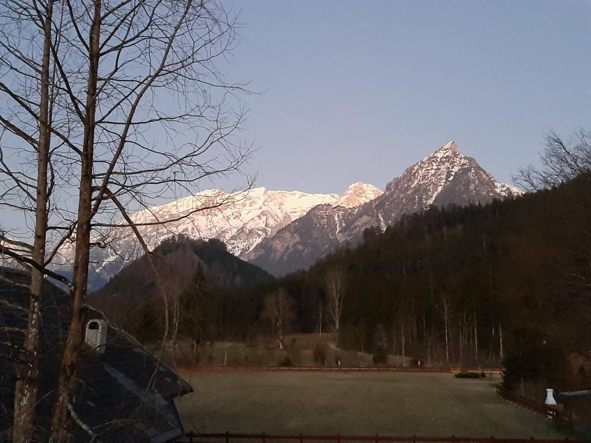 Haasenhaus Villa Hinterstoder Buitenkant foto